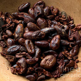 Fresh Roasted Cocoa Beans - Nibs by Iris Richardson