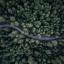 From Above by Antonio Carrillo Lopez
