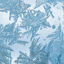 Frost Blue Pattern On Window by Oxygen