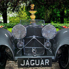 Garden Jag by Paul Barkevich