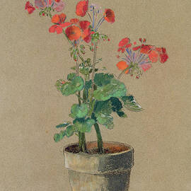 Geraniums in a pot by Odilon Redon by Odilon Redon