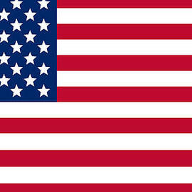Giant American Flag by Ron Hedges