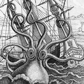 Giant Octopus illustration from L Histoire Naturelle Generale et Particuliere des Mollusques by French School