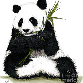 Giant Panda by Roger Hall