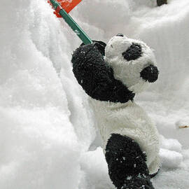 Ginny The Baby Panda In Winter #01 by Ausra Huntington nee Paulauskaite