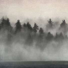 Glimpse of Mist and Trees by Carol Leigh