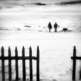 Go With The Flow by Paulo Abrantes