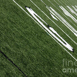 Goal Line - 5217 by Gary Gingrich Galleries