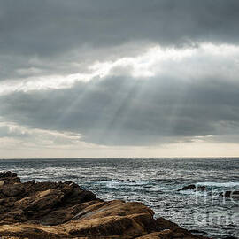 God Rays by George Buxbaum