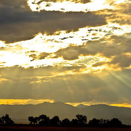 Golden Beams Of Sunlight Shining Down by James BO Insogna