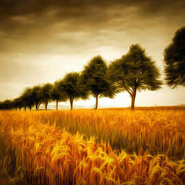 Golden cornfield with row of trees painting by Matthias Hauser