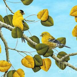Golden Days by Rick Bainbridge