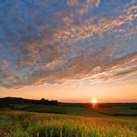Golden fields by Davorin Mance