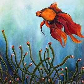 Goldfish by Jolanta Anna Karolska
