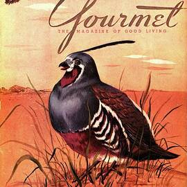 Gourmet Cover Featuring A Quail