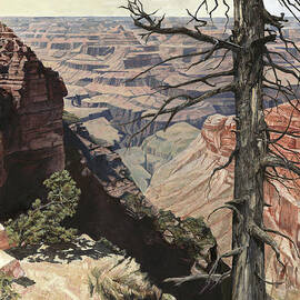 Grand Canyon View Weathered Tree Right Side  by Don  Langeneckert