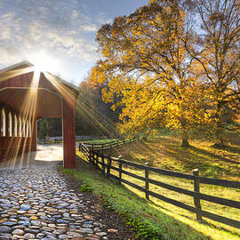 Granny Squirrel Bridge by Debra and Dave Vanderlaan