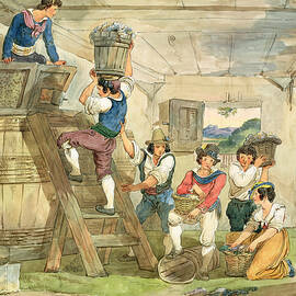Grape-pickers Carrying Grapes To The Press Pen & Ink And Wc On Paper by Achille Pinelli