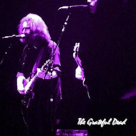 Grateful Dead in Purple - Concerts