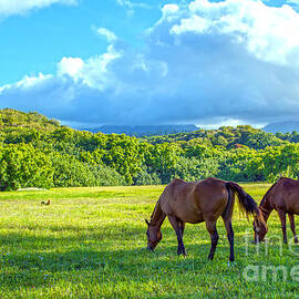 Grazing In Paradise by Roselynne Broussard