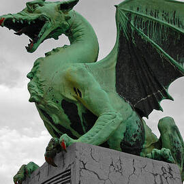Green dragon in Ljubljana by Aleksandar Hajdukovic