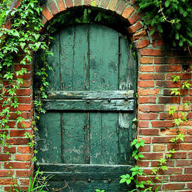 Green Garden Door by Steven Ainsworth