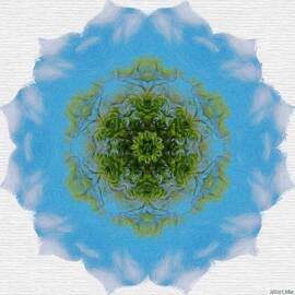 Green Planet by Jeffrey Kolker