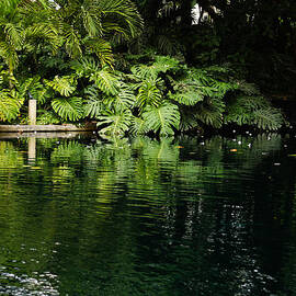 Green Tropical Paradise - the Gardens of the Museum of Art of Puerto Rico by Georgia Mizuleva