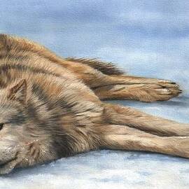 Grey Wolf Painting