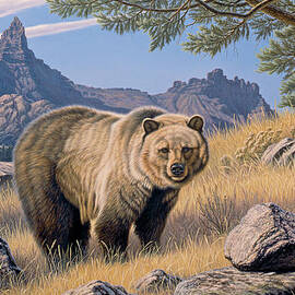 Grizzly Country by Paul Krapf