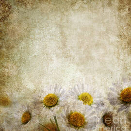 Grunge Floral Background by Jelena Jovanovic
