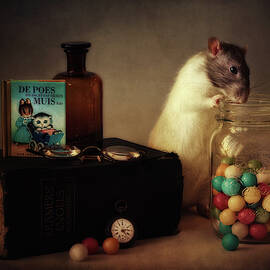 Gumballs (published In The New 1x Book 