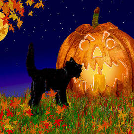 Halloween Black Cat Meets The Giant Pumpkin by Michele Avanti