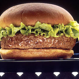 Hamburger by Science Source