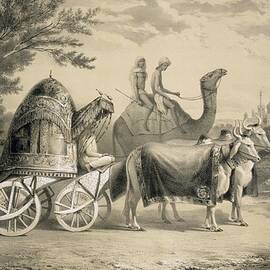 Harem Carriage Of The King Of Delhi by A. Soltykoff