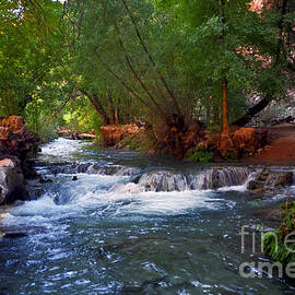Havasu Creek by Kathy McClure