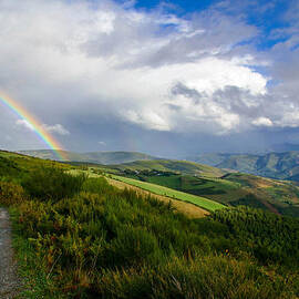 The Way by Adam Mateo Fierro