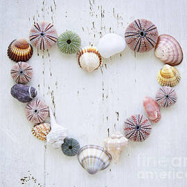 Heart of seashells and rocks