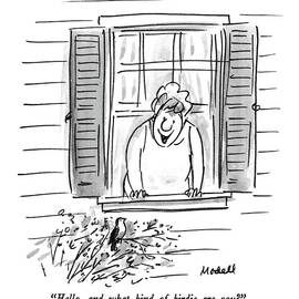 Hello, And What Kind Of Birdie Are You? by Frank Modell