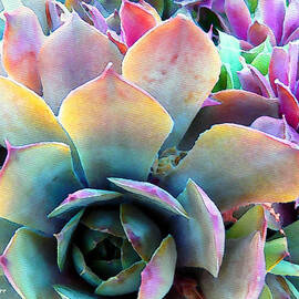 Hens and Chicks series - Unfolding by Moon Stumpp