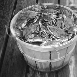 High Angle View Of Crabs In A Basket by Panoramic Images