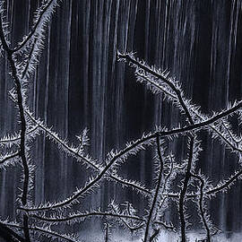 Hoar Frost At Waterfall