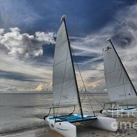 Hobie Cats On The Caribbean by Adam Jewell