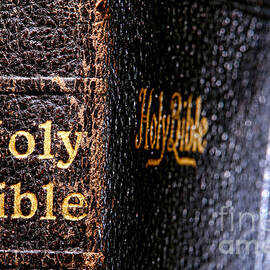 Holy Bible by Olivier Le Queinec
