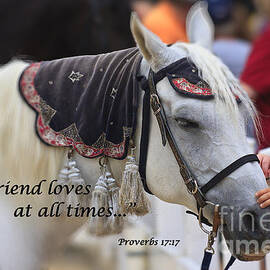 Horse with Scripture Verse by Jill Lang