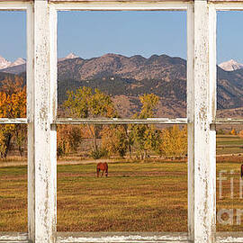 Horses and Autumn Colorado Front Range Picture Window View by James BO Insogna
