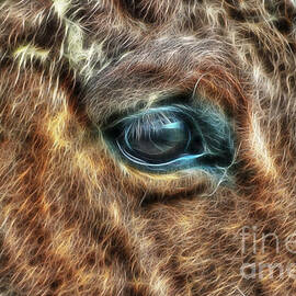 Equine Vision by Doc Braham