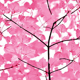 Hot Pink Leaves Melody by Jennie Marie Schell
