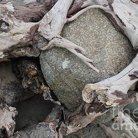 How Did That Rock Get In That Tree?