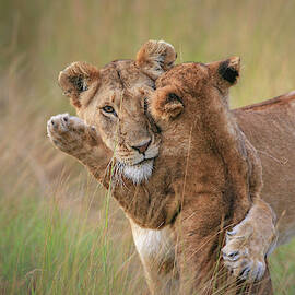 Hugs by Jeffrey C. Sink